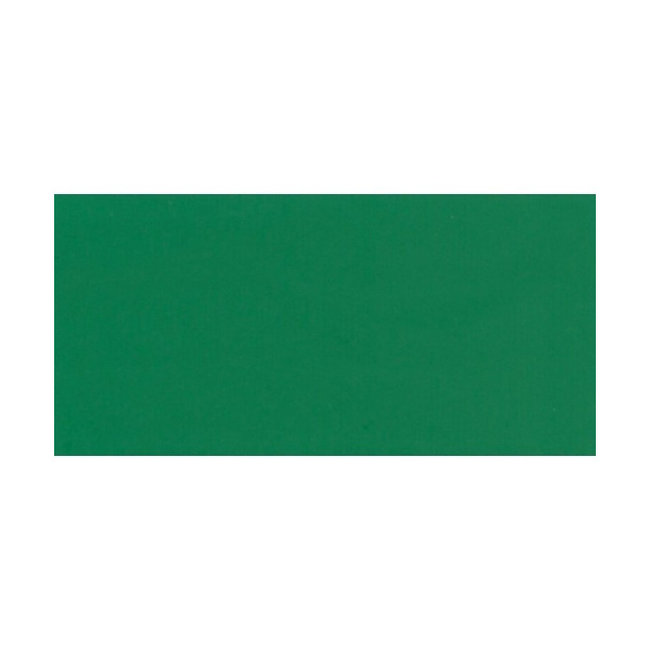 Flex Sports Film Green 400