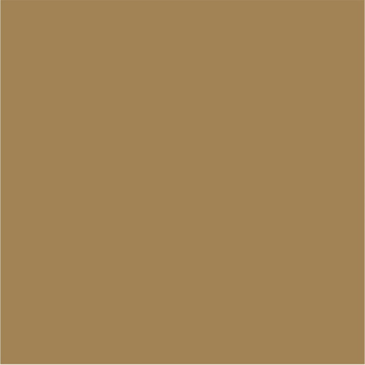 1070 Old Gold