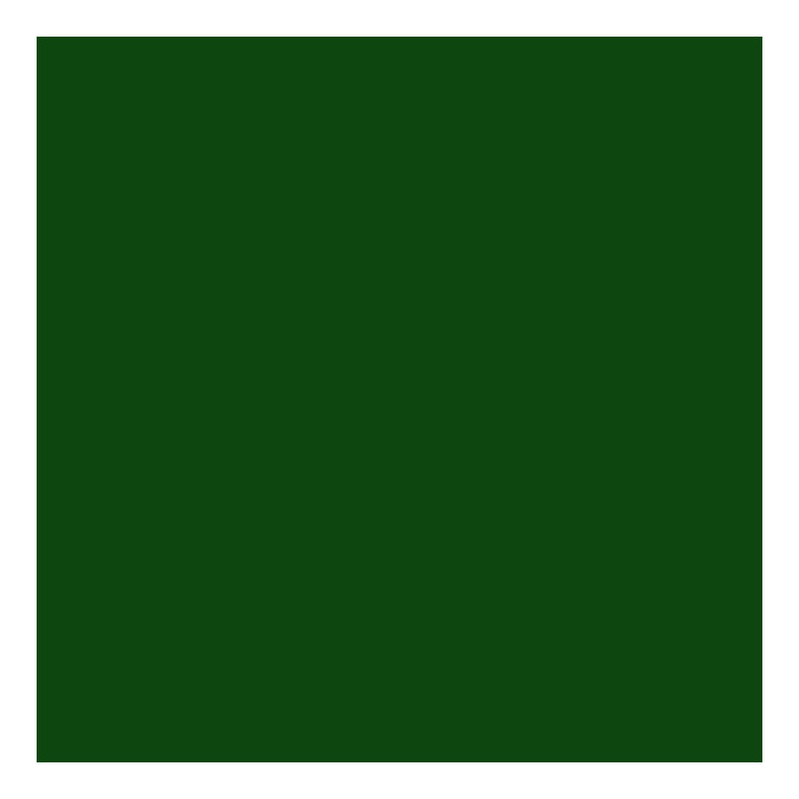 1007 Forest Green