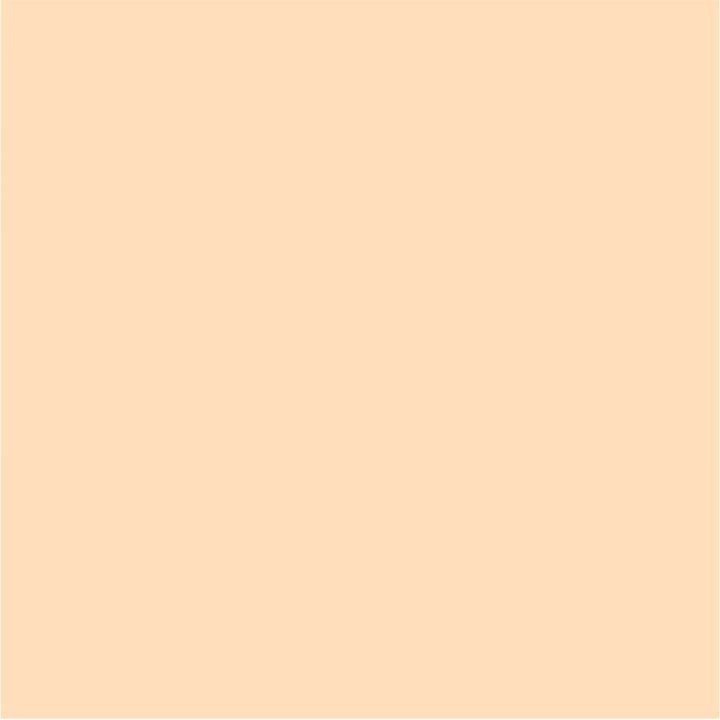 1017 Beige