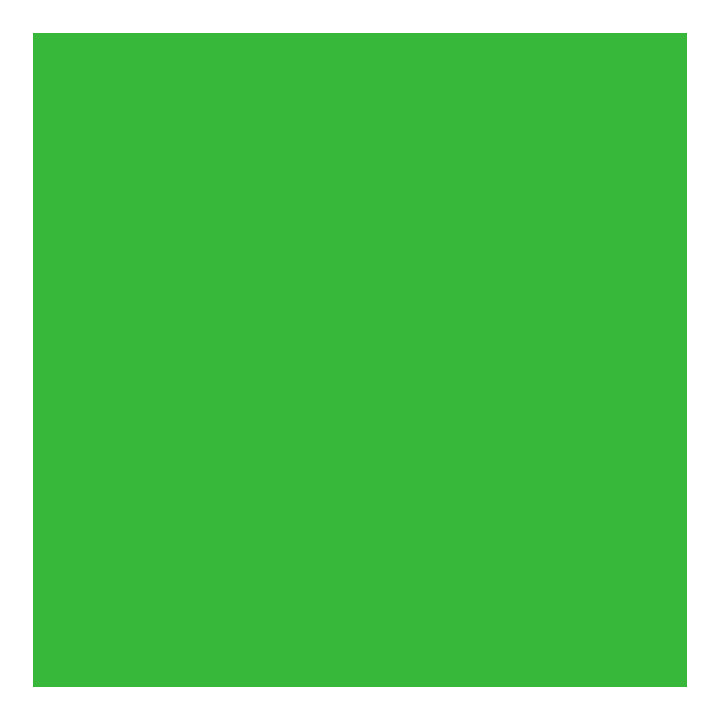 1063 Grass Green