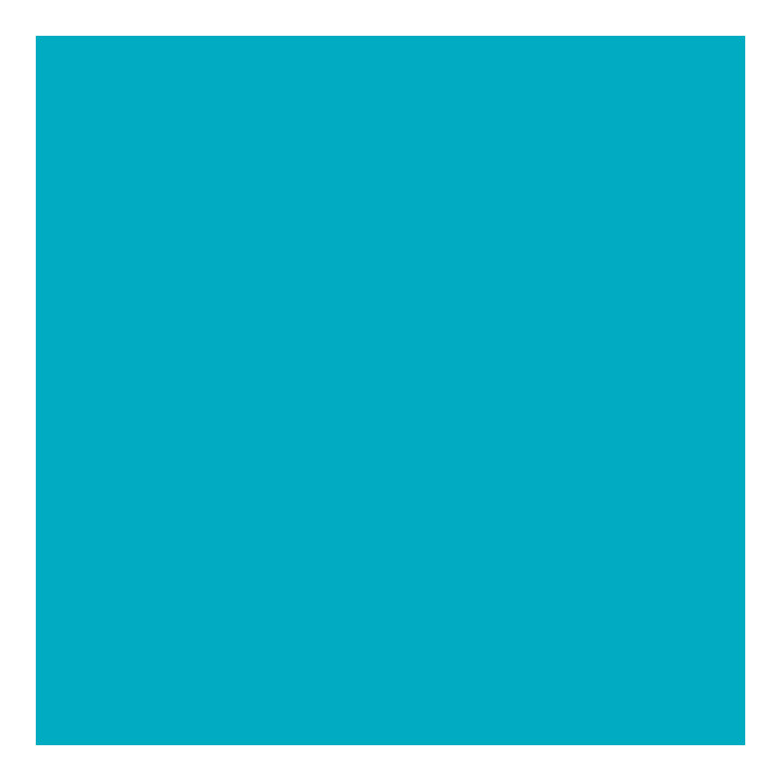 1081 Tiffany Blue