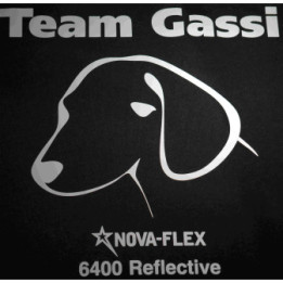 NovaFlex Reflective 6434 DIN EN471