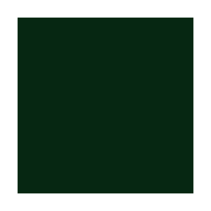 Sports Film - Dark Green 410