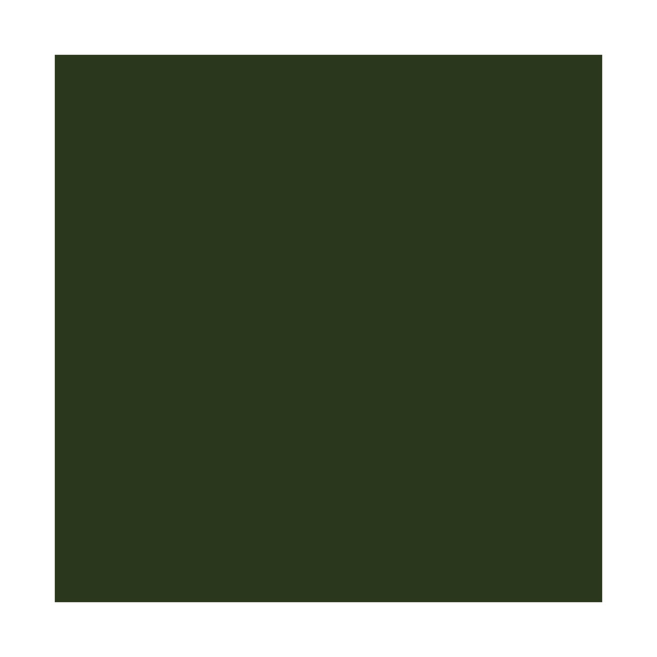 Sports Film - Olive (Army) 430
