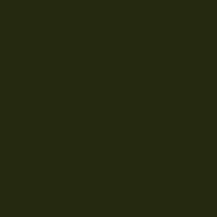 69 Military Green