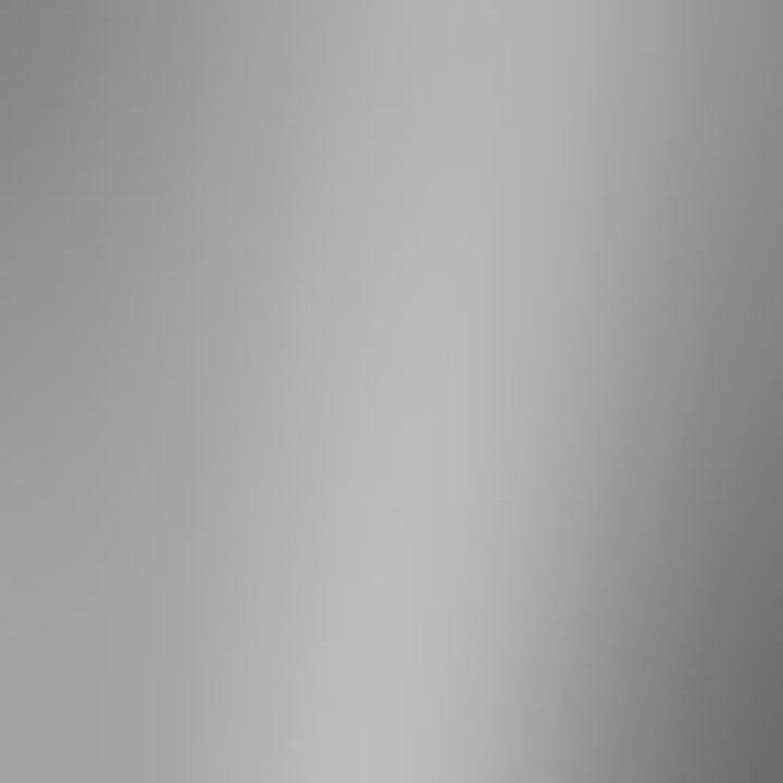1031 Light Silver metallic