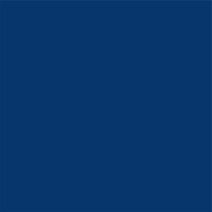1006 Royal Blue